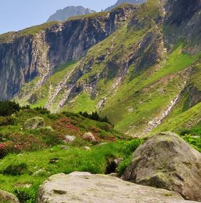 Chráněno: 2019 03 – web lahvičky